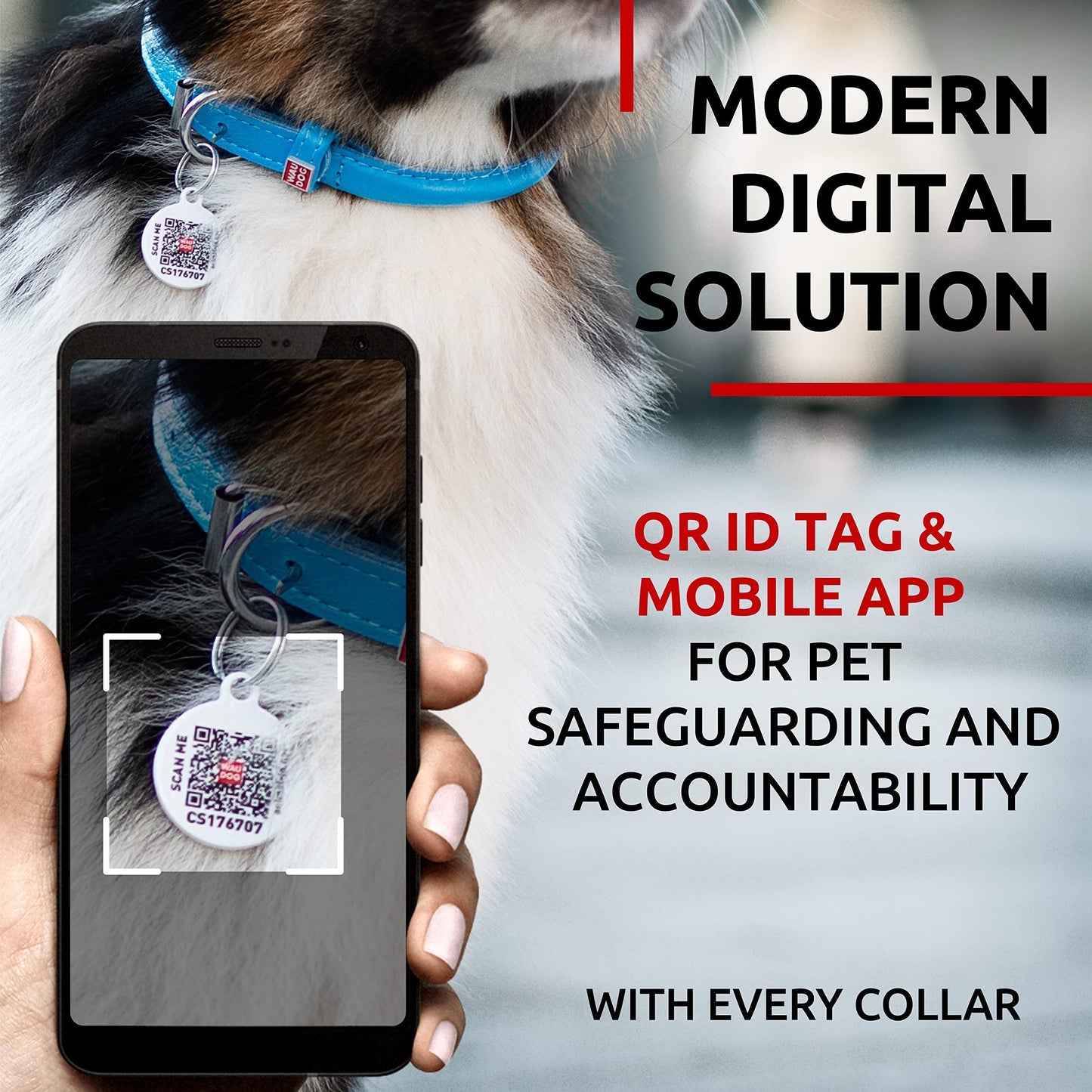 Ultra Soft Rolled Leather Dog Collar – Adjustable Durable Pet Collar for Small, Medium & Large Dogs (Multiple Colors)